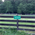img01