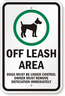 no leash