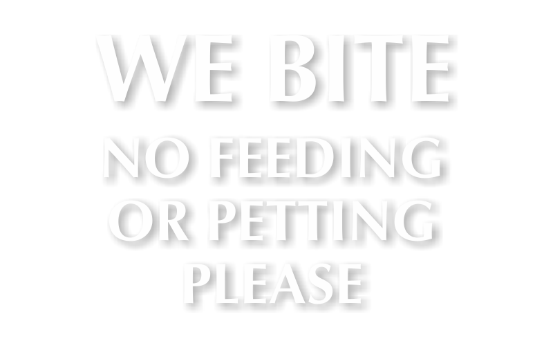 Do Not Feed Horse Engraved Sign